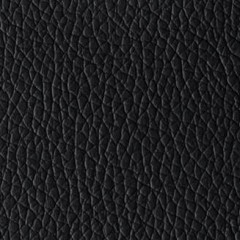 Sintético Preto | Omega Black