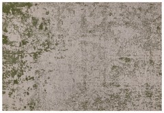 Verde | Dara Green (Foto)