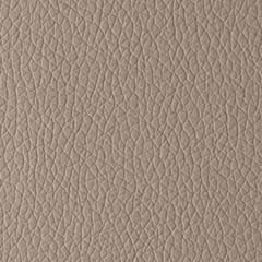 Sintético Taupe  (Foto)
