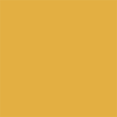 Senape | 40338.56.000