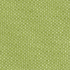 Lime | 061