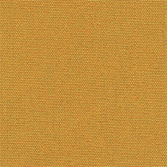 Senape | 36338.00.069