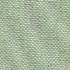 Verde | 36338.00.071