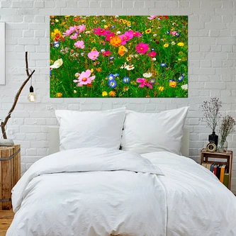 Quadros de Flores