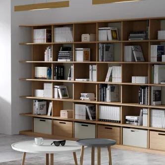 Organize e decore a sua sala com estilo! A estante Elege Lib 05 é ideal para deixar os seus livros bem organizados e ainda dar um toque especial à decoração.