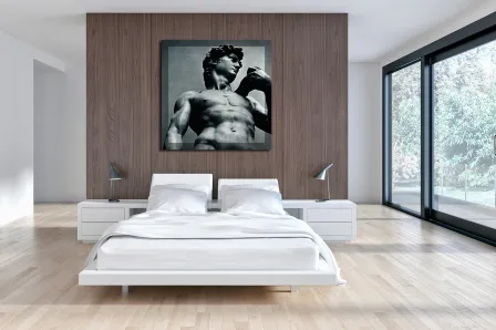 Quadro David
