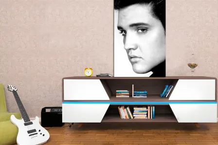 Quadro Elvis Presley