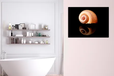 Quadro Caracol