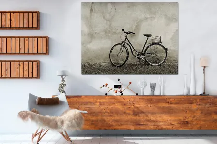 Quadro Bicicleta