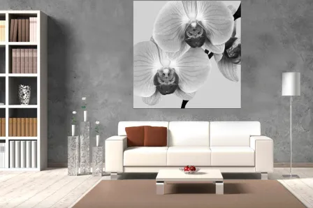Quadro Orquídeas Brancas