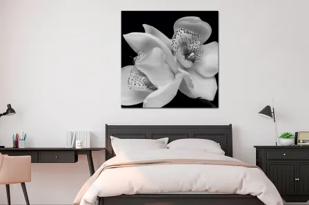 Quadro Orquídea Branquinha 