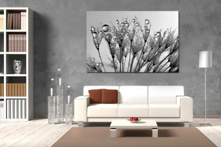 Quadro Flor de Chuva 