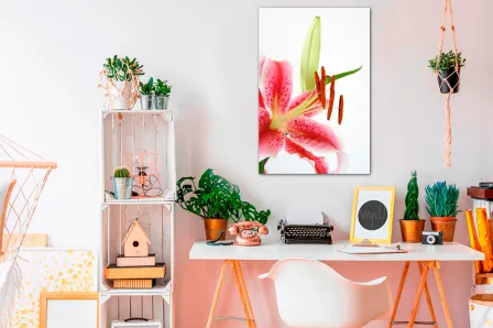Quadro Flor Delicada