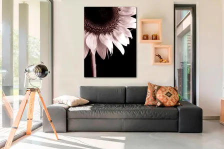 Quadro Girassol a Preto e Branco