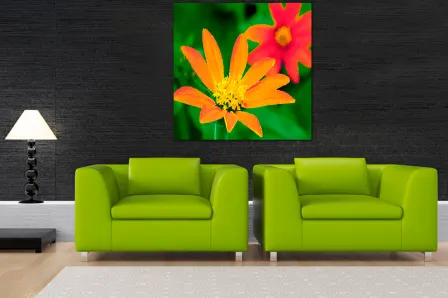 Quadro Mimosinha Laranja 