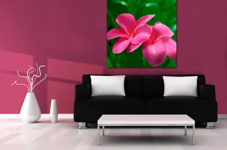 Quadro Color Rosa