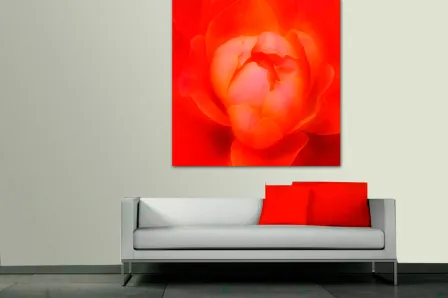 Quadro Flor Centrada Vermelha 