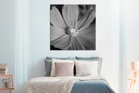 Quadro Florzita Cinza
