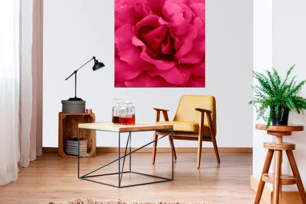 Quadro Strong Pink
