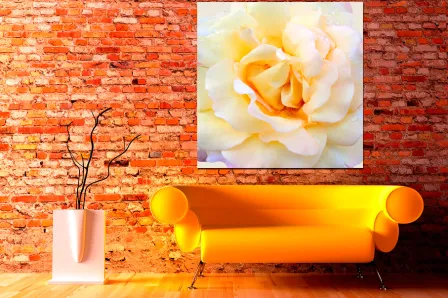 Quadro Blanco