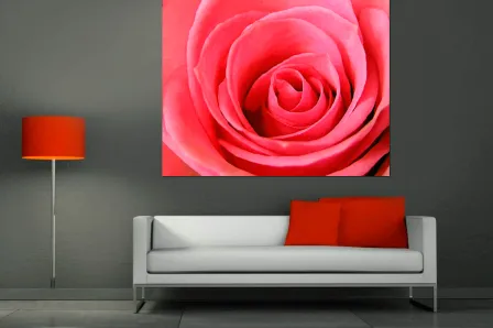 Quadro Rosa Simples