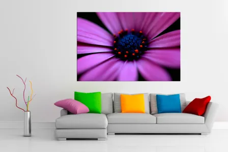 Quadro Beleza Floral