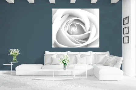 Quadro Rosa Branca
