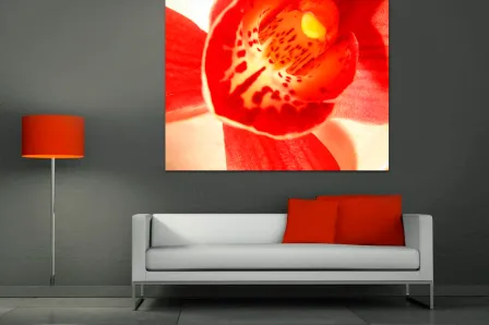 Quadro Vermelho de Orquídea