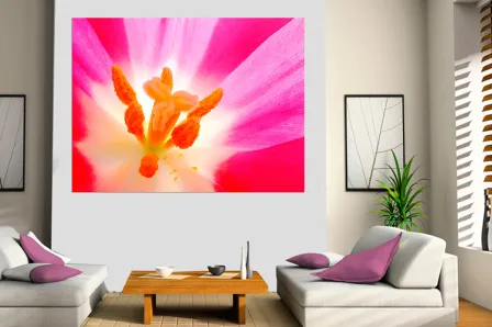 Quadro Inside Pink 