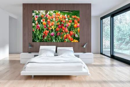 Quadro Campo de Tulipas