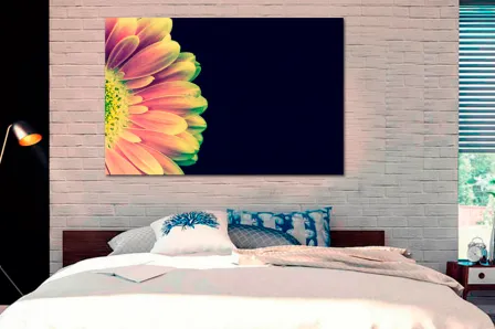 Quadro Margarida Rosa