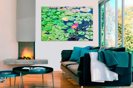 Quadro Nenúfares 2