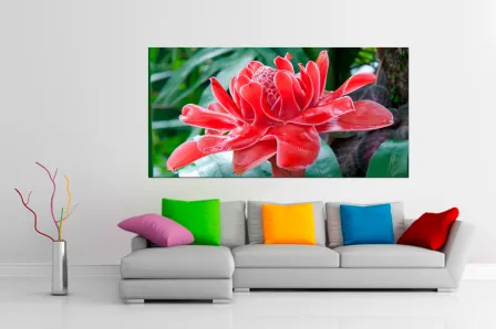 Quadro Flor Especial