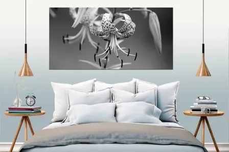 Quadro Graciosidade de Orquídea
