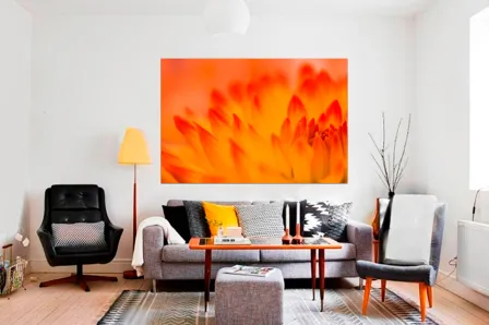 Quadro Flor Laranja