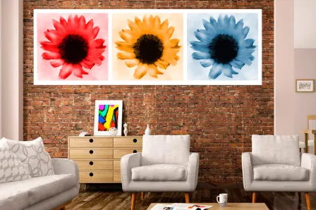 Quadro Conjunto de Margaridas