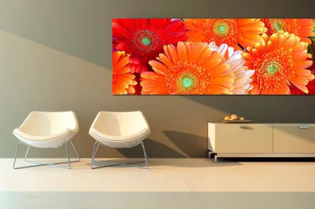 Quadro Margaridas Laranja