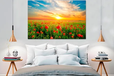 Quadro Campo de Papoilas