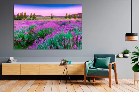 Quadro Campo a Roxo