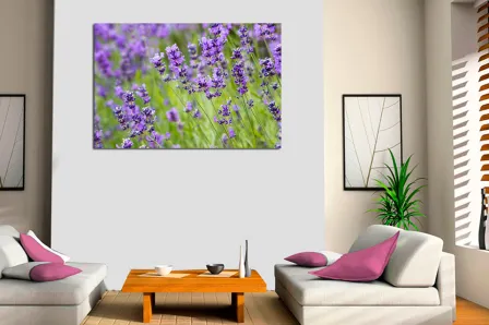 Quadro Campo de Lírios