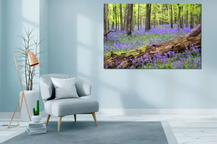 Quadro Relvado Lilás