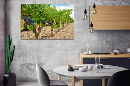 Quadro Vinha