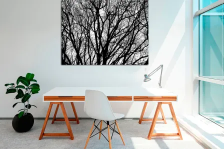 Quadro Raízes 