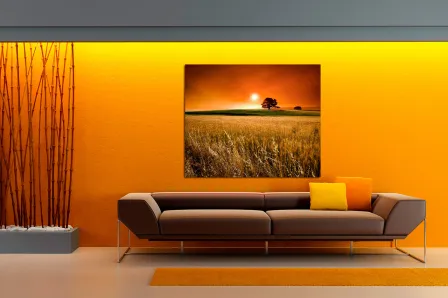 Quadro Campo de Cereais