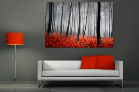 Quadro Bosque Vermelho 