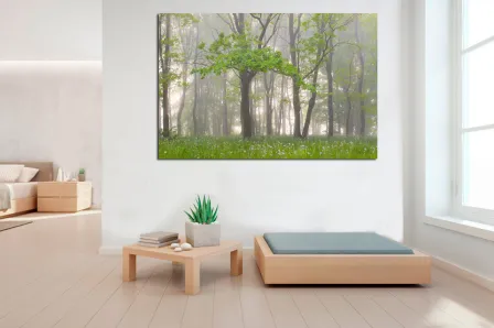 Pintura de paisagens country