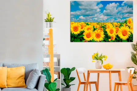 Pintura de campo de girassol