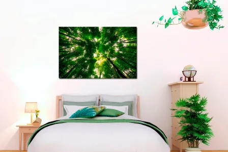 Árvores olhando para o céu pintando