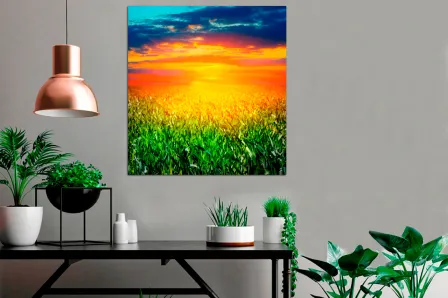 Pintura do nascer do sol no campo