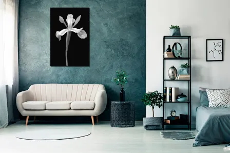 Pintura de flores em preto e branco